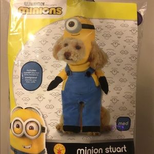 Minions dog costume